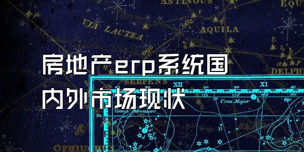 房地产erp系统国内外市场现状