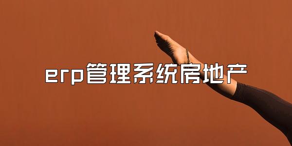 erp管理系统房地产