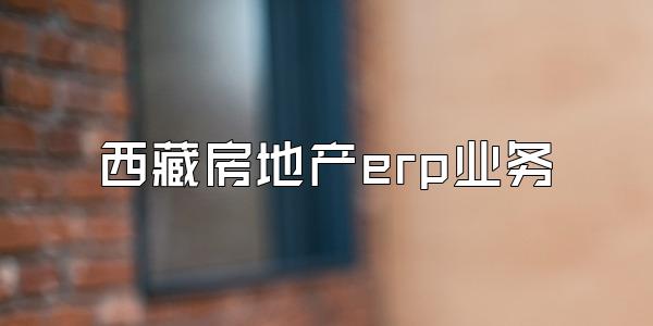 西藏房地产erp业务