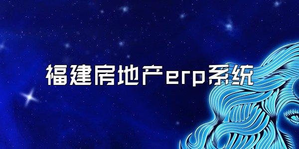 福建房地产erp系统
