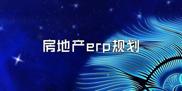 房地产erp规划