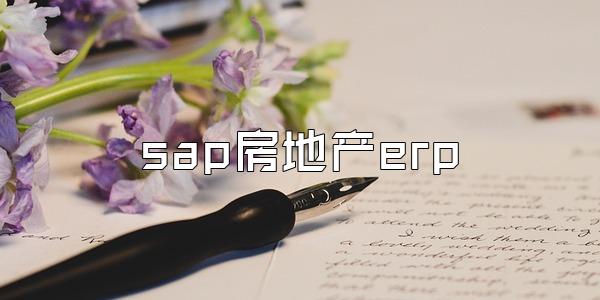 sap房地产erp