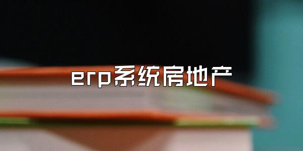 erp系统房地产