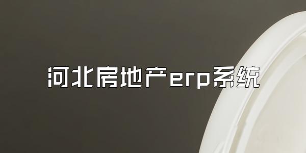 河北房地产erp系统
