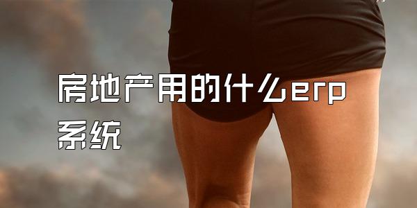 房地产用的什么erp系统