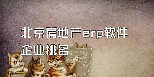 北京房地产erp软件企业排名