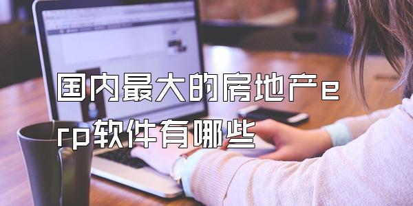 国内最大的房地产erp软件有哪些