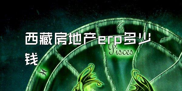 西藏房地产erp多少钱