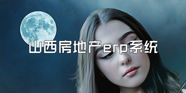 山西房地产erp系统