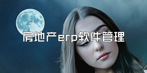 房地产erp软件管理