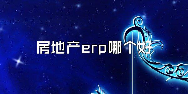 房地产erp哪个好