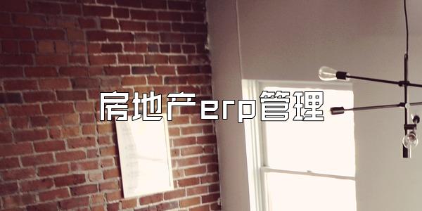 房地产erp管理