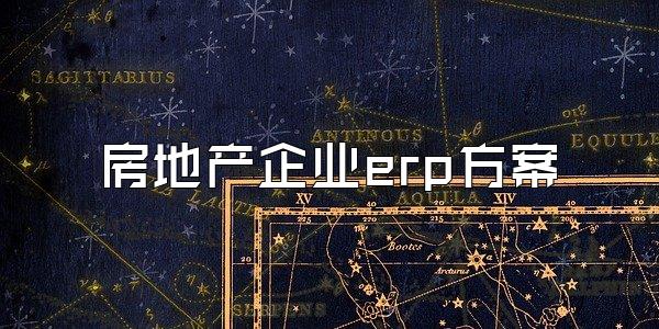 房地产企业erp方案