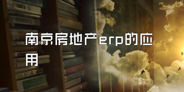 南京房地产erp的应用