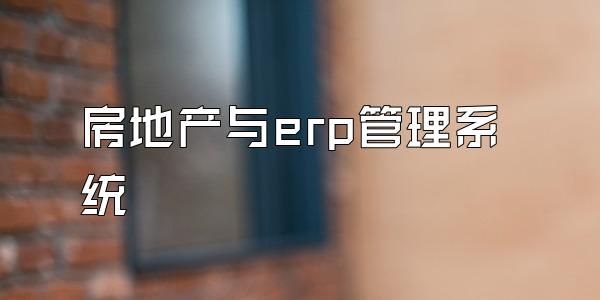 房地产与erp管理系统