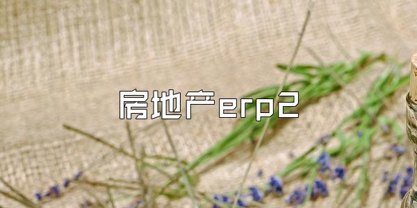 房地产erp2