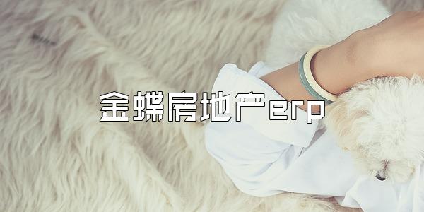 金蝶房地产erp
