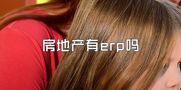 房地产有erp吗