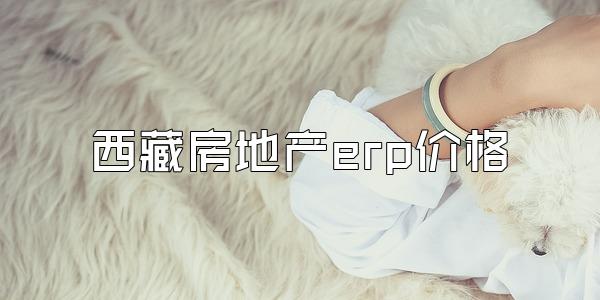 西藏房地产erp价格
