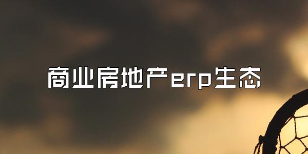 商业房地产erp生态