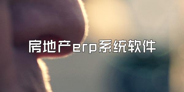 房地产erp系统软件