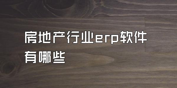 房地产行业erp软件有哪些