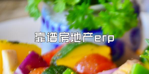 靠谱房地产erp