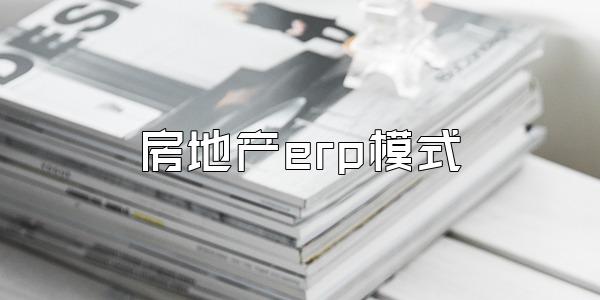 房地产erp模式