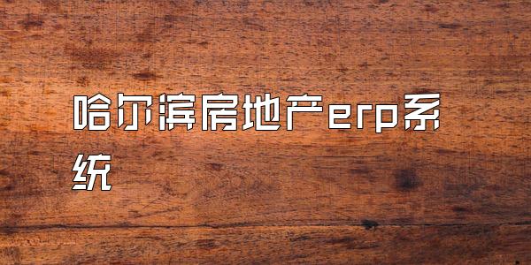 哈尔滨房地产erp系统