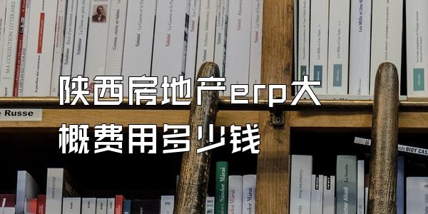 陕西房地产erp大概费用多少钱
