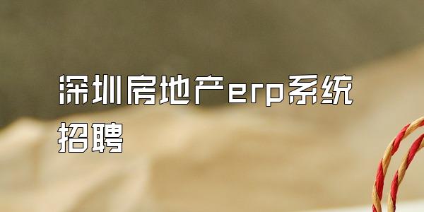 深圳房地产erp系统招聘