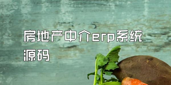 房地产中介erp系统源码