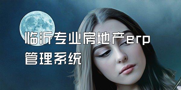 临沂专业房地产erp管理系统