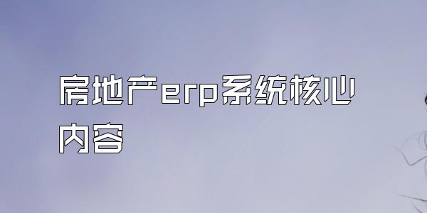 房地产erp系统核心内容