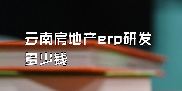 云南房地产erp研发多少钱