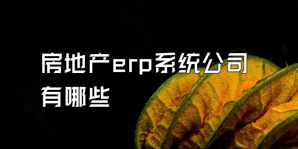 房地产erp系统公司有哪些