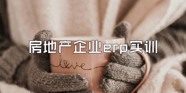 房地产企业erp实训