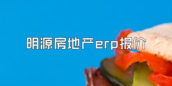 明源房地产erp报价