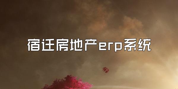 宿迁房地产erp系统