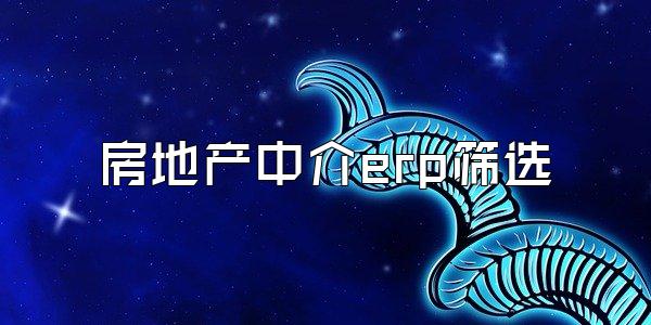 房地产中介erp筛选