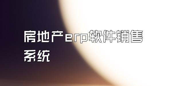 房地产erp软件销售系统