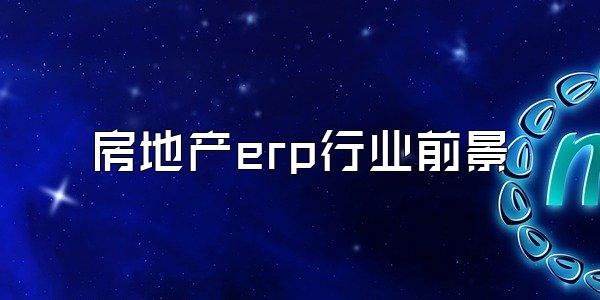 房地产erp行业前景