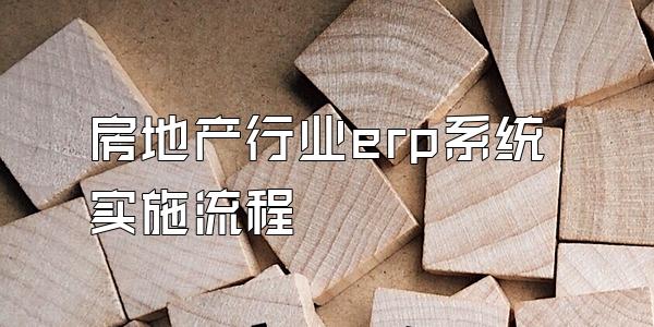 房地产行业erp系统实施流程