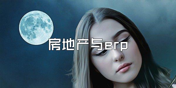 房地产与erp