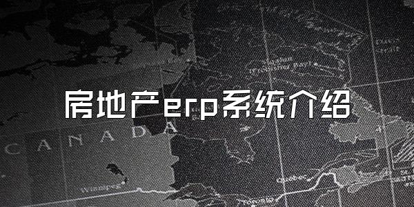 房地产erp系统介绍
