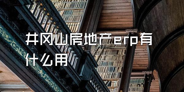 井冈山房地产erp有什么用