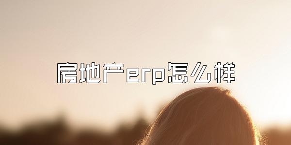 房地产erp怎么样