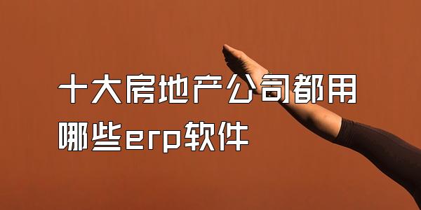 十大房地产公司都用哪些erp软件