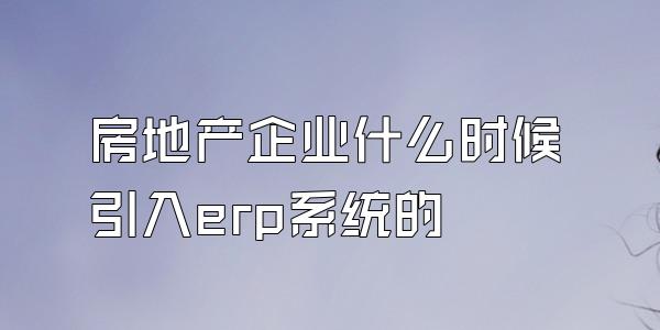 房地产企业什么时候引入erp系统的