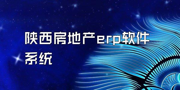 陕西房地产erp软件系统